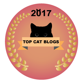 The 25 Best Cat Blogs You Should Know About