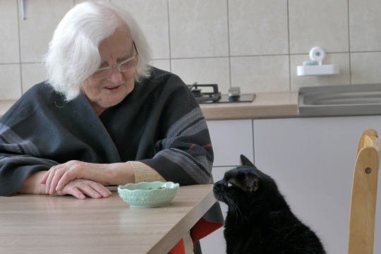Benefits of Cats for Older People