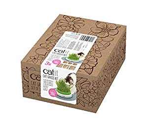 Catit Senses 2.0 Cat Grass Kit 