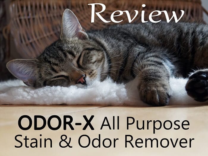 ODOR-X All Purpose Stain And Odor Remover featured image with cat sleeping on the background