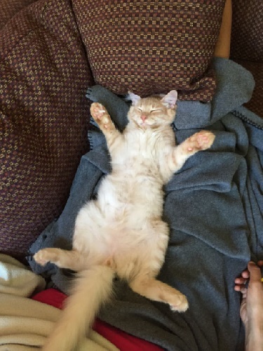2016 09 05_Photo - Randy iPhone 7_0070