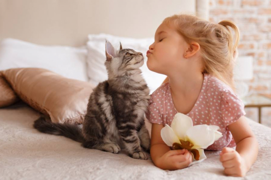 15 Fun Facts About Cats for Kids