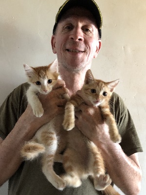 Neighborhood Cats 4