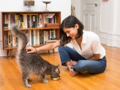 cat_owner1 (1)