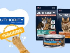 Authority Cat Food Brand Review