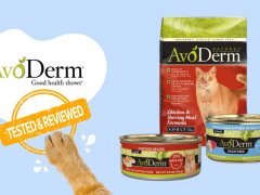 Avoderm Cat Food Brand Review