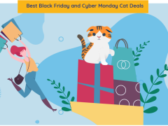 cat deals