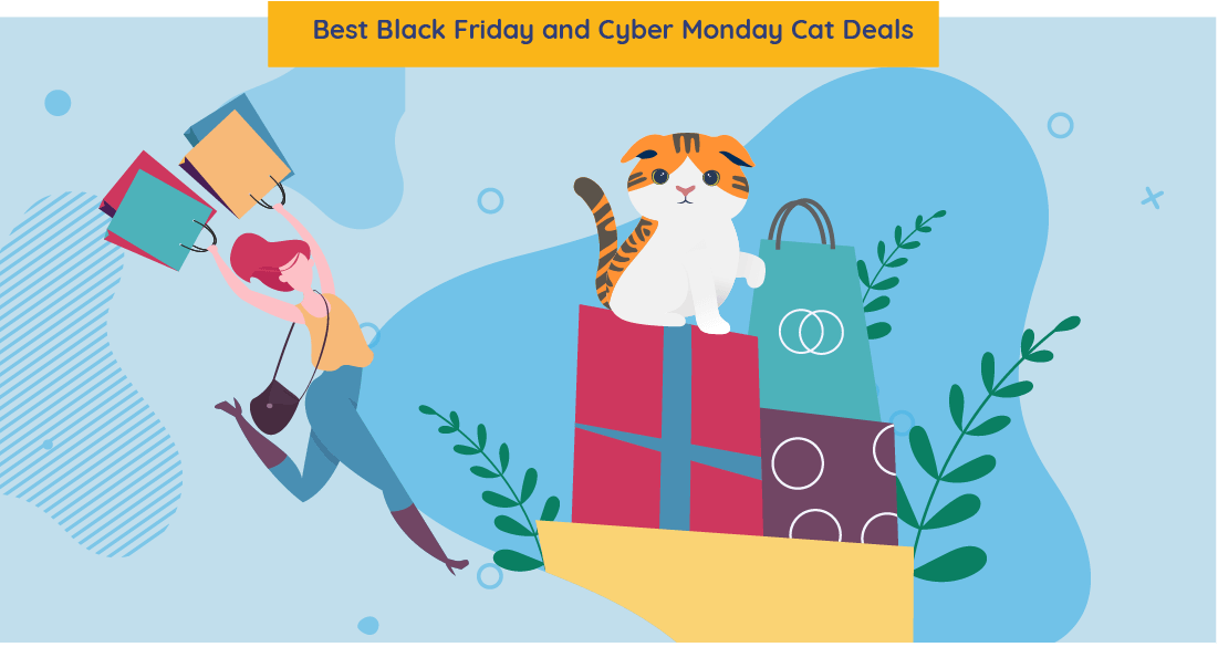 cat deals