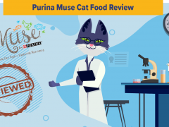 purina muse cat food