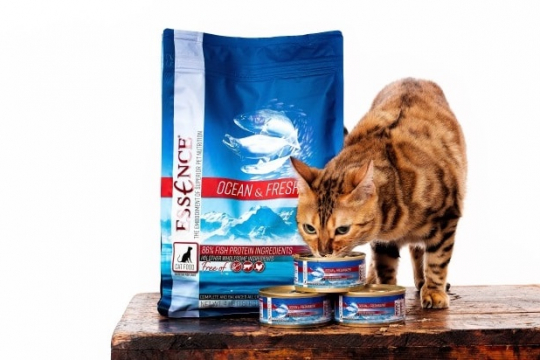 The Benefits Of Protein In Cat Food