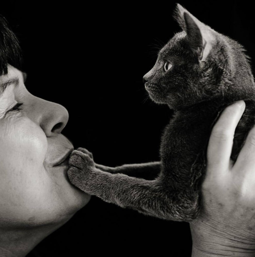 Darcy Albert of Kitty Mom's Rescue