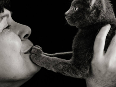 darcy albert kitty moms rescue