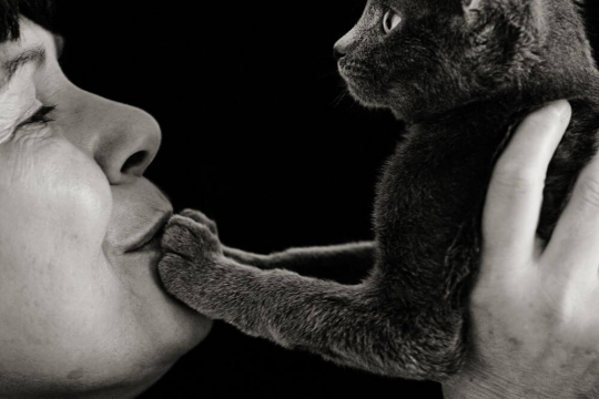 Interview with Darcy Albert, Founder of Kitty Mom's Rescue