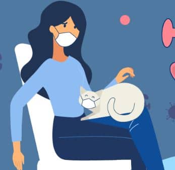 Cats and COVID-19: Everything You Need to Know