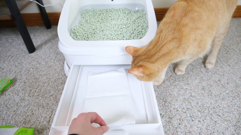 Putting litter pad into the Toletta litter box.