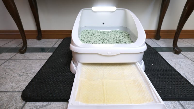 Toletta litter box with dirty pad