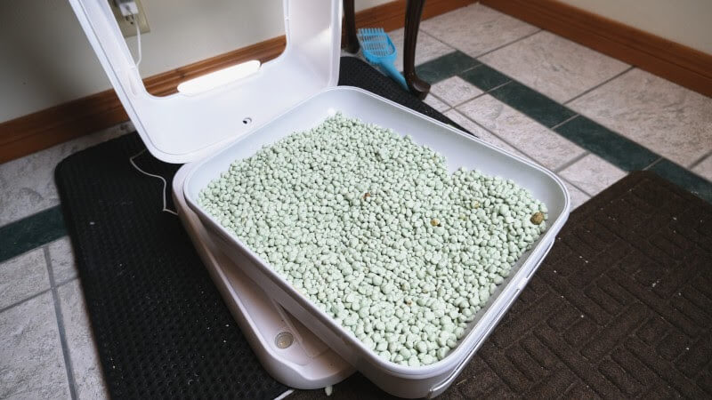 Cleaning out the Toletta litter box.