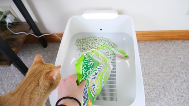 Pouring litter into Toletta litter box