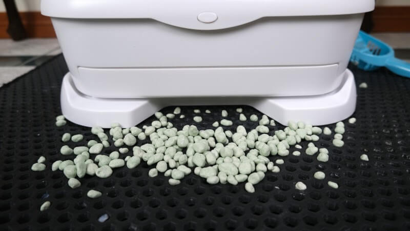Litter pebbles in front of Toletta litter box.