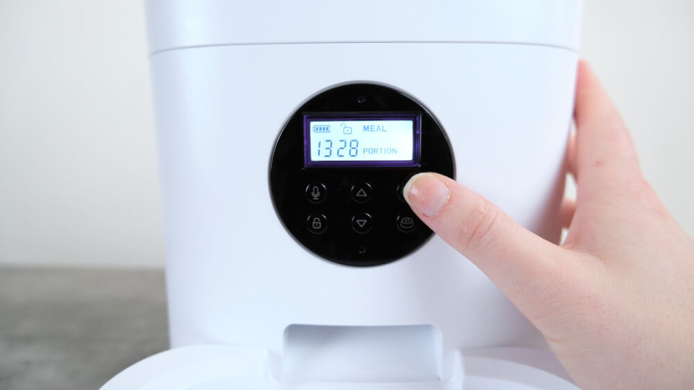 Programming the Petlibro automatic cat feeder