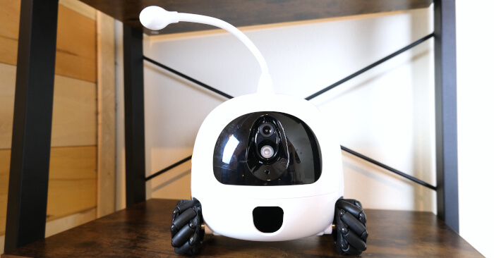 Rocki Robot Companion Review Feature