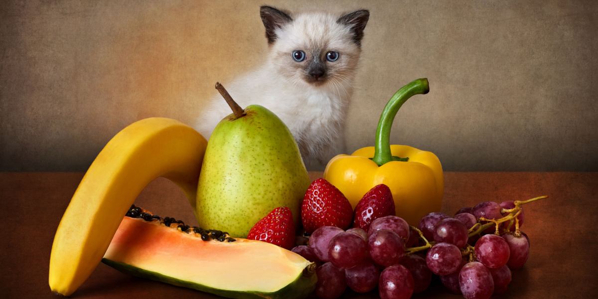 kitten plays with vegetables and fruits