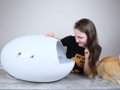 Trying the AutoEgg