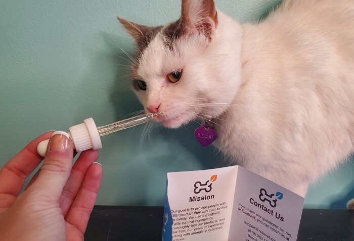 Relievet's CBD Oil for Cats