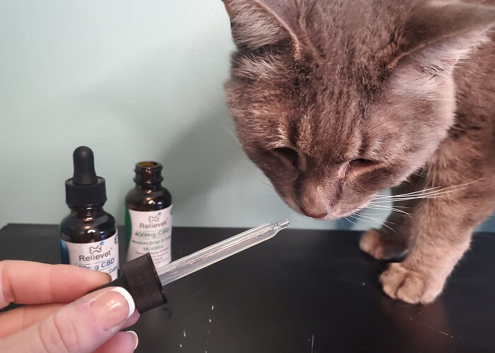 CBD oil formulations for pets