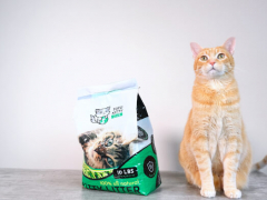 TofuKitty Cat Litter Featured Image