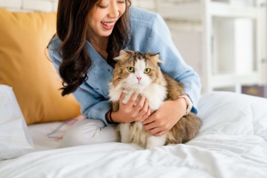 Pneumonia in Cats: Causes, Symptoms & Treatment​