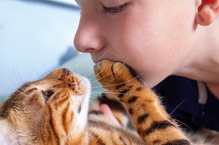 Child with bengal cat
