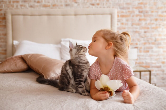 Cats and Kids – Rules for Safe Play