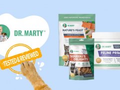 Brand Review - Dr Marty