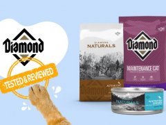 Brand Review - Diamond