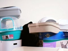Best Cat Litter Boxes Feature