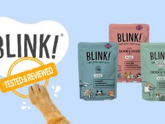 Blink! Cat Food Brand Review