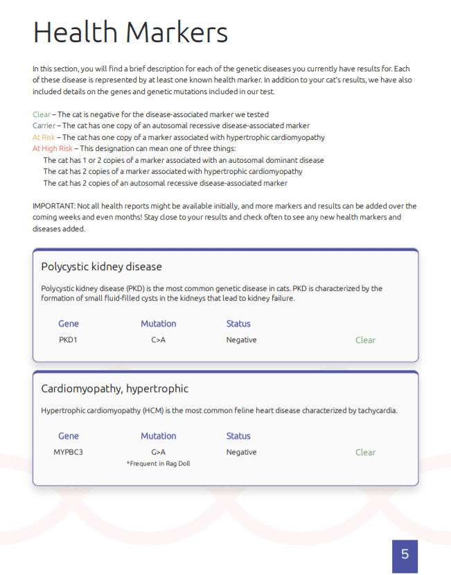 Basepaws Health Report