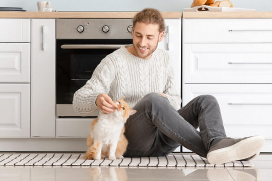 What Is Human-Grade Cat Food And How It's Different