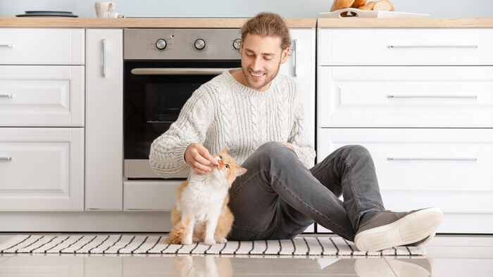 human grade cat food feature