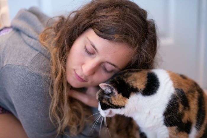 cat interacting with human