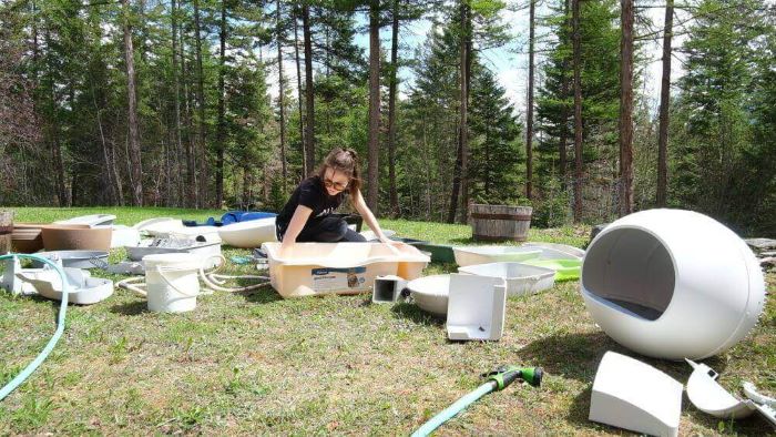 deep cleaning a litter box outside