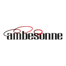 Ambesonne