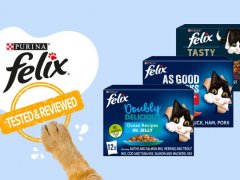 Brand Review - Felix