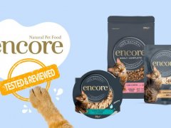 Brand Review - encore