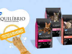 Brand Review - equilibrio