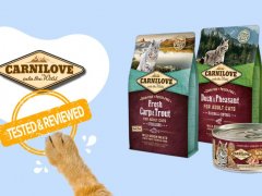 Carnilove Cat Food Brand Review