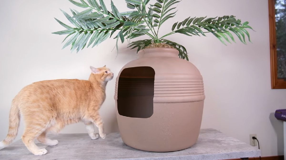 Good Pet Stuff Hidden Planter Litter Box