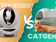 Litter-Robot vs CatGenie featured image