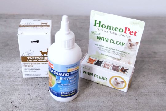 5 Best Cat Dewormers